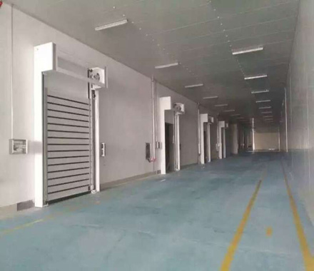 快速卷簾門廠家